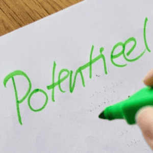 Survey 'Ik, mijn werk en mijn potentieel'