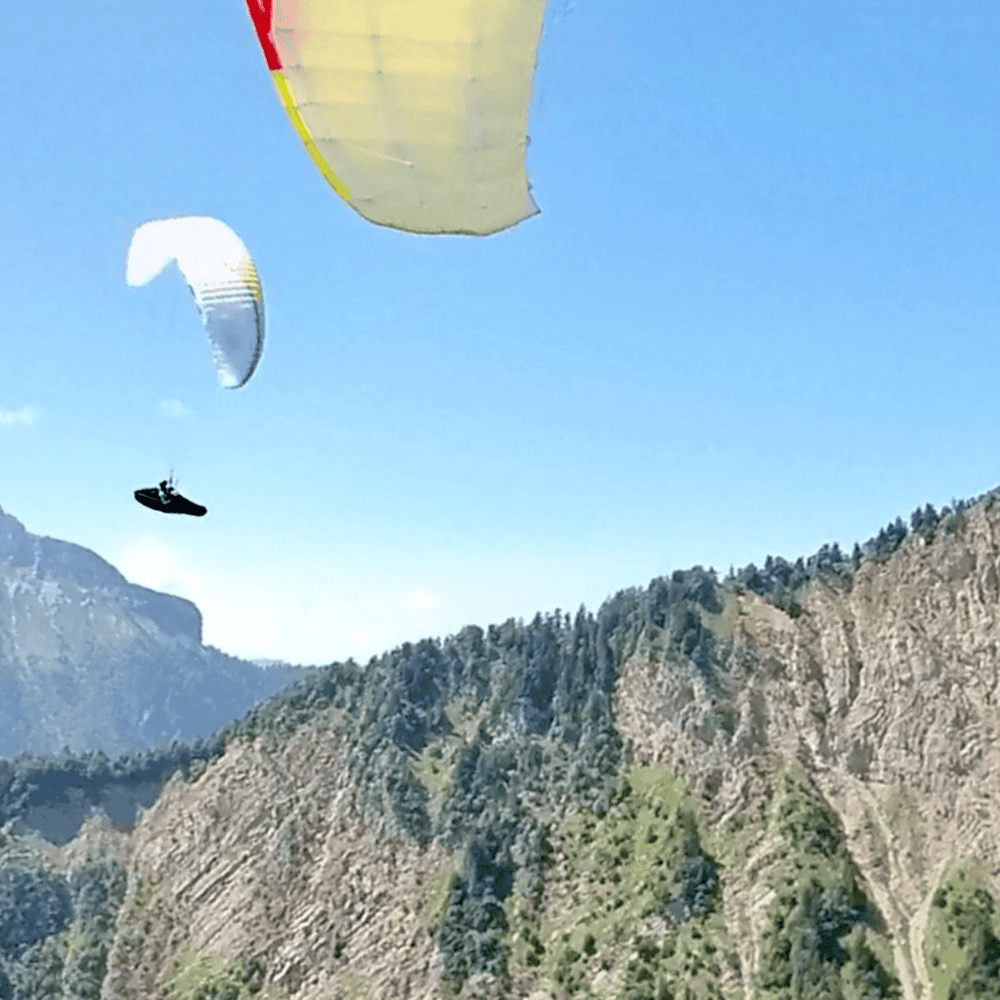 Cri De Coeur Transitionstudio